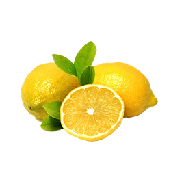 Lazy Lemon Cottage